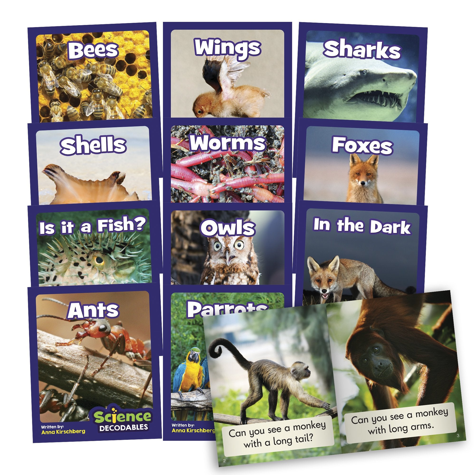 Science Decodables Phase 3 Non-Fiction - 6 Pack