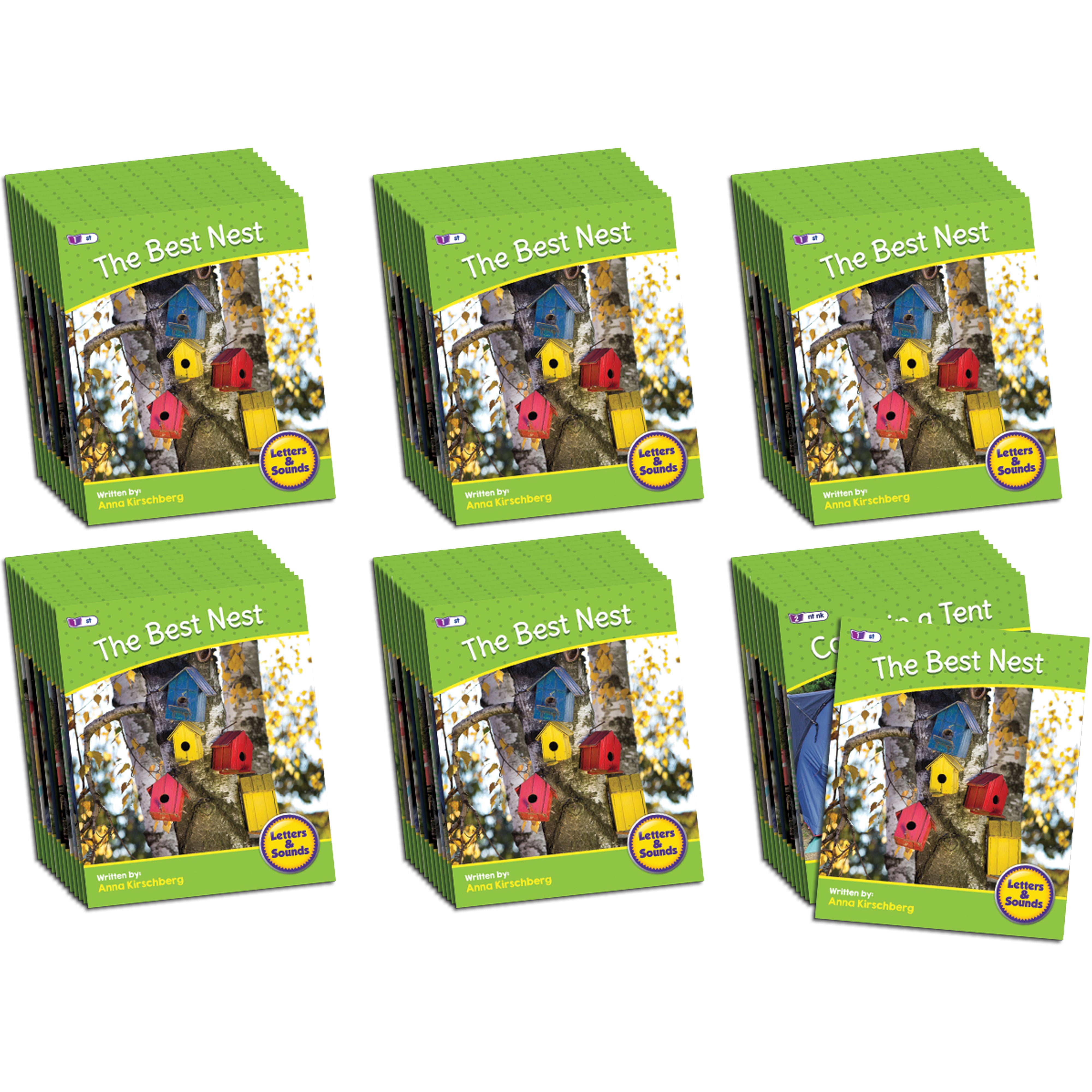 Letters & Sounds Phase 4 Set 2 Non-Fiction - 6 Pack